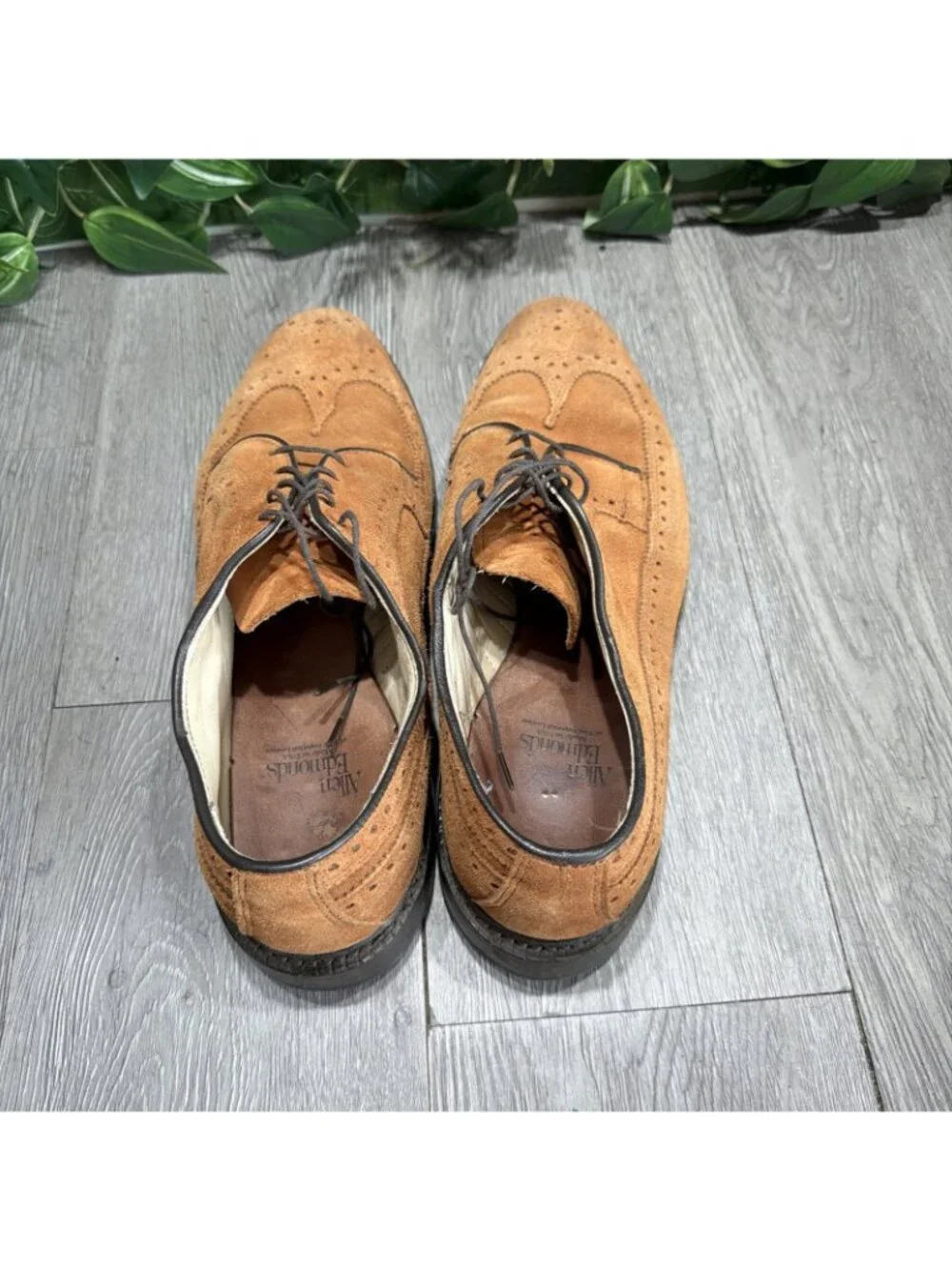 Allen Edmonds Schautel Brown Suede McNeil Wingtip Dress Shoes Men Sz 9.5 D USA